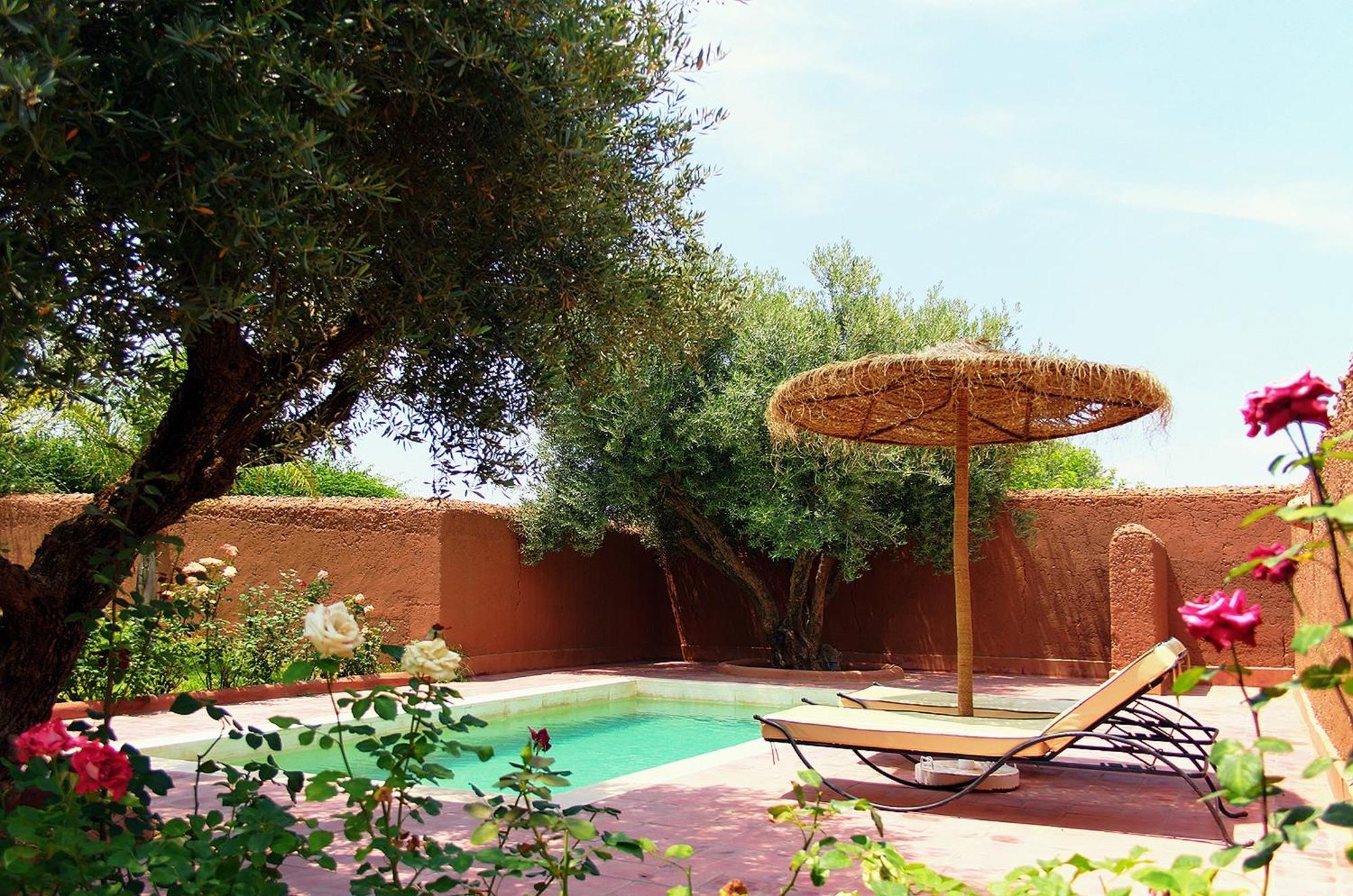 La Maison Des Oliviers Lagouassem Rom bilde